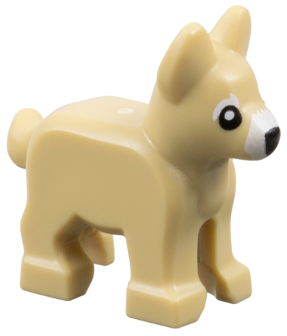 Dog, Alsatian / German Shepherd, Puppy with White Muzzle and Eyebrows, Black Eyes and Nose Pattern