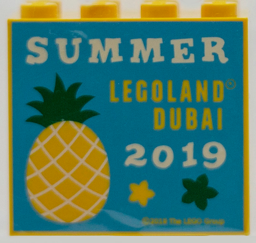 Brick 2 x 4 x 3 with LEGOLAND Dubai 2019 Summer Pattern
