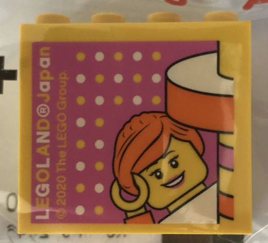 Brick 2 x 4 x 3 with LEGOLAND Japan, Female Minifigure, and Dots Pattern