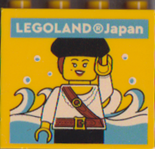 Brick 2 x 4 x 3 with LEGOLAND Japan, Pirate Grace Minifigure and Waves Pattern