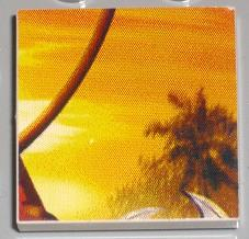 Tile 2 x 2 with Indiana Jones Raiders Pattern  7 - Whip and Tree