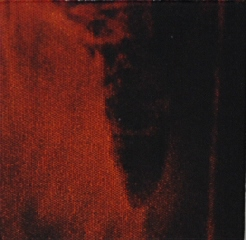 Tile 2 x 2 with Indiana Jones Temple of Doom Pattern  7