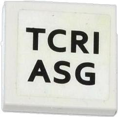 Tile 2 x 2 with 'TCRI' and 'ASG' Pattern (Sticker) - Set 79104