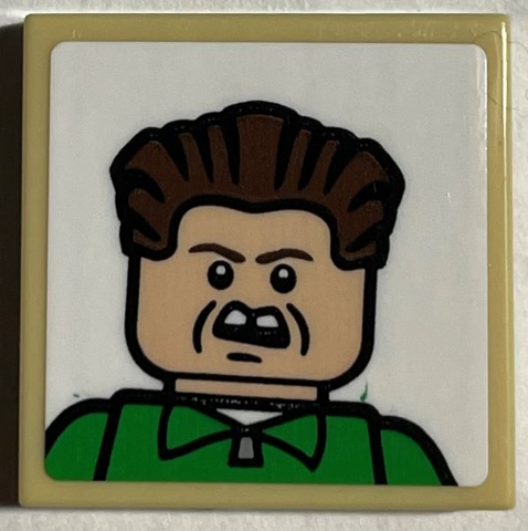 Tile 2 x 2 with Minifigure Portrait with Dark Brown Hair, Green Shirt, Angry Face Pattern (Sticker) - Set 21330