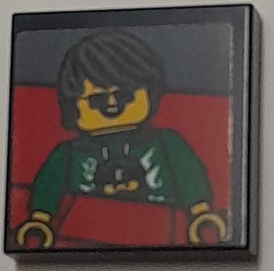 Tile 2 x 2 with Photo of Boy Minifigure with Black Hair, Sunglasses and Green Top in Red Roller Coaster Seat Pattern (Sticker) - Set 40429