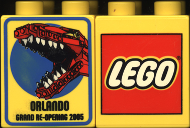 Duplo, Brick 2 x 2 x 2 with The LEGO Store Orlando 2005 Re-Opening Pattern