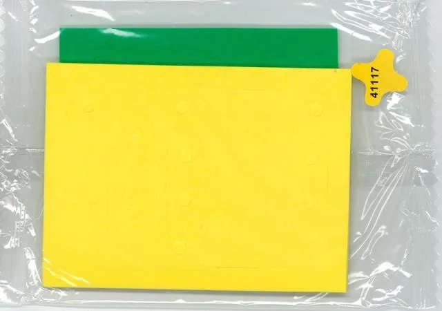 Foam for Set 3123 - Complete Set of 2 Sheets (41117)