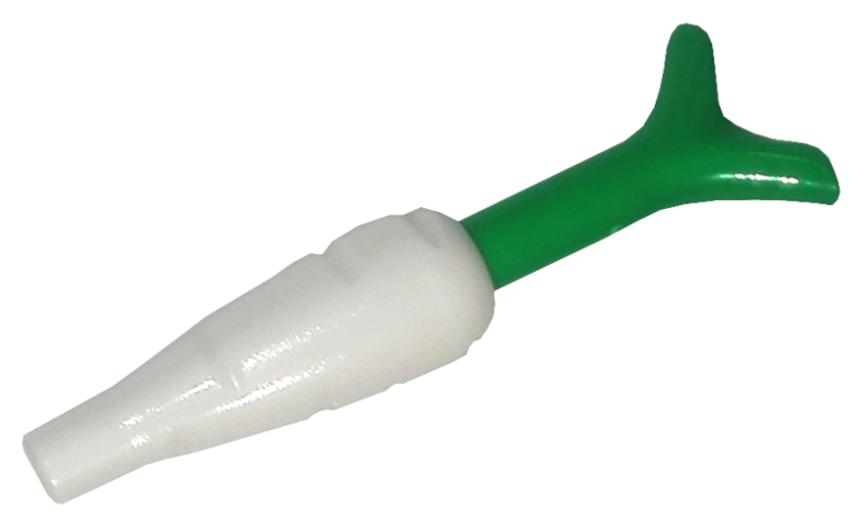 Carrot with Bright Green Top (33172 / 33183)