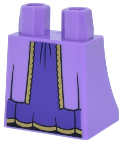 Lower Body, Skirt with Robe Ends with Gold Trim Open over Dark Purple Dress with Black Creases Pattern