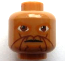 Minifigure, Head Alien SW Zabrak with Large Reddish Brown Eyes and Facial Lines, Dark Orange Eye Shadow and Chin Dimple, Neutral Pattern