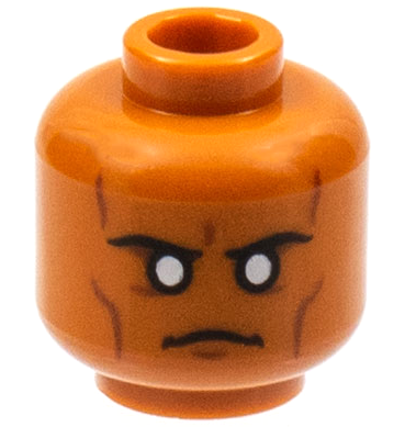 Minifigure, Head Black Eyebrows, Reddish Brown Contour Lines, White Eyes Pattern