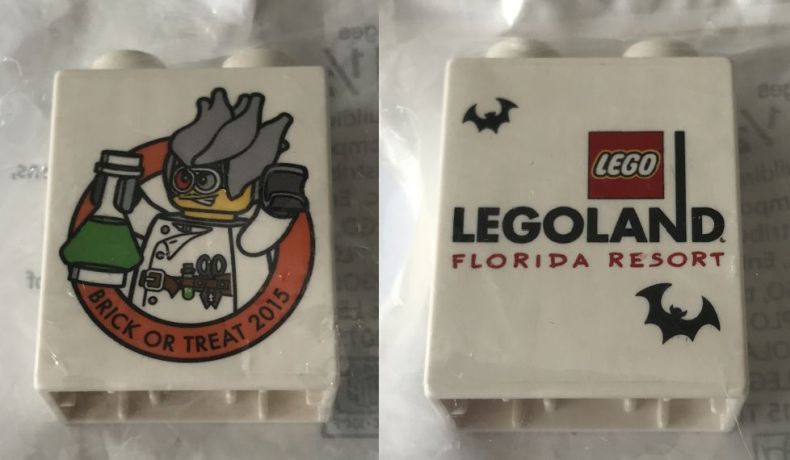 Duplo, Brick 1 x 2 x 2 with Brick or Treat 2015 LEGOLAND Florida Resort Mad Scientist Pattern