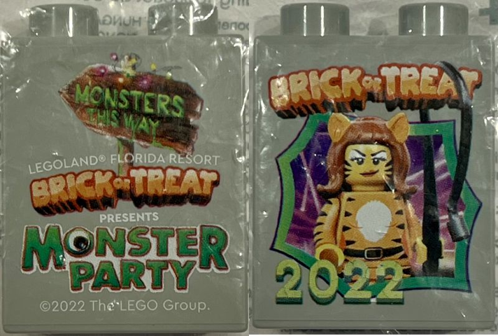 Duplo, Brick 1 x 2 x 2 with LEGOLAND Florida Resort Brick or Treat Presents Monster Party 2022, Tiger Woman Minifigure Pattern