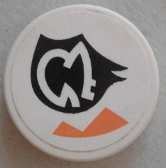 Tile, Round 2 x 2 with Orange Triangles and White Alien Characters on Black Background Pattern Model Right Side (Sticker) - Set 7962