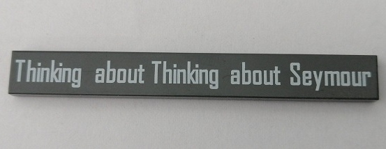 Tile 1 x 8 with 'Thinking about Thinking about Seymour' Pattern