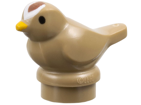 Bird, Small with Black Eyes, Bright Light Orange Beak and Reddish Brown and White Forehead Pattern