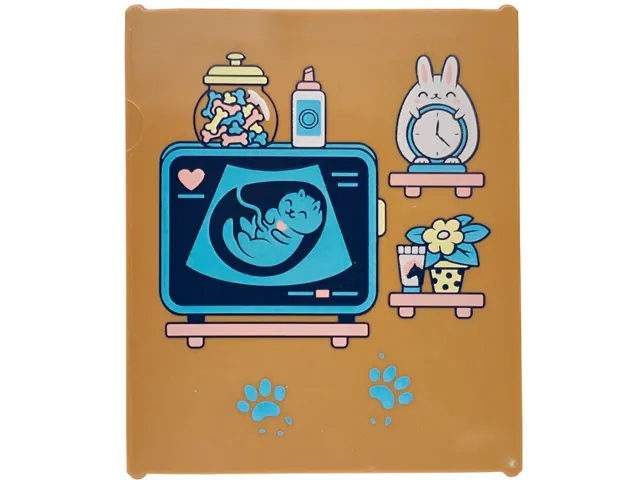 Glass for Window 1 x 6 x 6 Flat Front with Shelves, Jar of Dog Treats, Cat X-Ray with Heart, Paw Prints, Bunny Clock and Flower Pattern