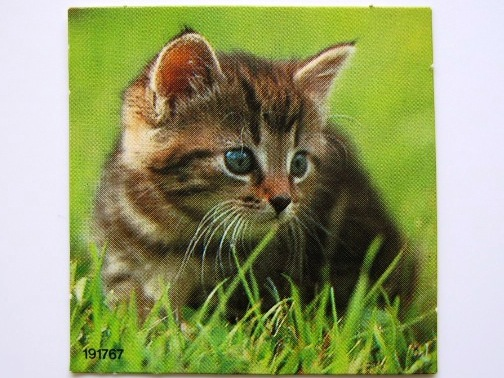 Paper Cardboard for Set 4336 #1, Scala Cat (191767)