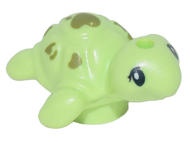 Turtle, Friends Style, Baby with Black Eyes and Olive Green Spots Pattern