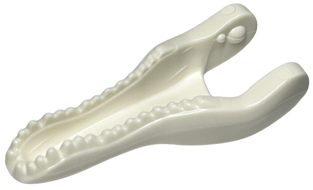 Dinosaur Jaw Lower Baryonyx / Spinosaurus