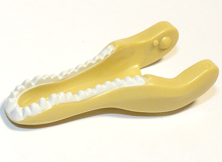 Dinosaur Jaw Lower Baryonyx / Spinosaurus with White Teeth Pattern