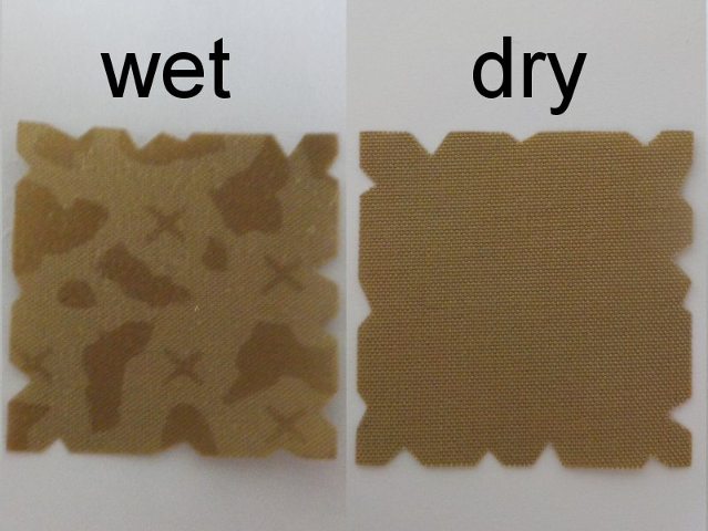 Cloth Treasure Map 3.5 x 3.5 (map becomes visible when wet)