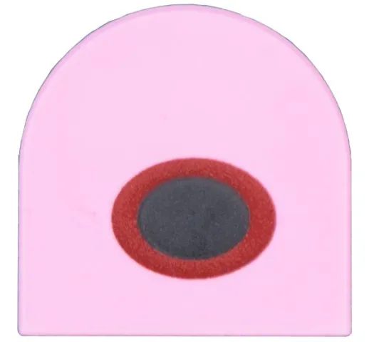 5520pb021