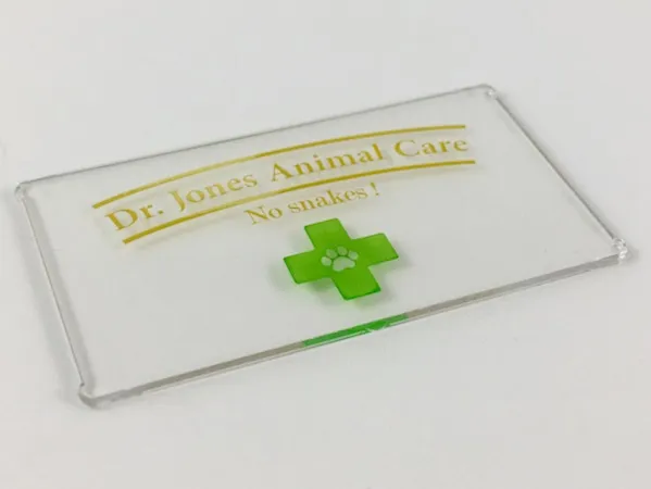 Glass for Window 1 x 4 x 6 with Gold 'Dr. Jones Animal Care No Snakes!' and Green Cross with Paw Print Pattern