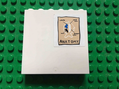 Panel 1 x 6 x 5 with Fish and 'ANATOMY' Pattern (Sticker) - Set 3832