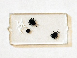 Glass for Window 1 x 2 x 3 with 3 Black Insects and Cracked Window Pattern (Sticker) - Set 75904