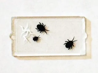 Glass for Window 1 x 2 x 3 with 3 Black Insects and Cracked Window Pattern (Sticker) - Set 75904