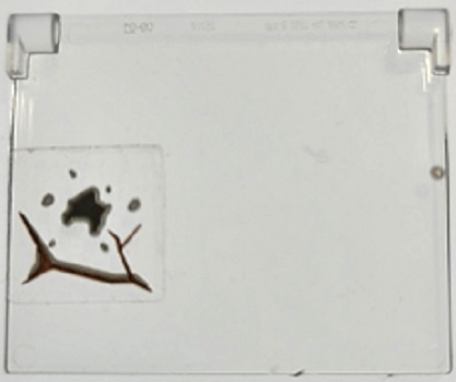 Glass for Window 1 x 4 x 3 - Opening with Dark Brown Cracks and Dark Bluish Gray Mud Spots Pattern (Sticker) - Set 70424