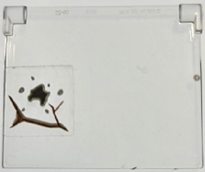 Glass for Window 1 x 4 x 3 - Opening with Dark Brown Cracks and Dark Bluish Gray Mud Spots Pattern (Sticker) - Set 70424