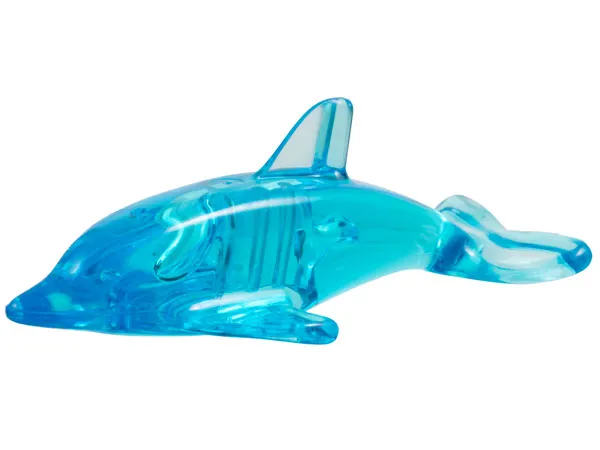 Dolphin with Abnormal Connection