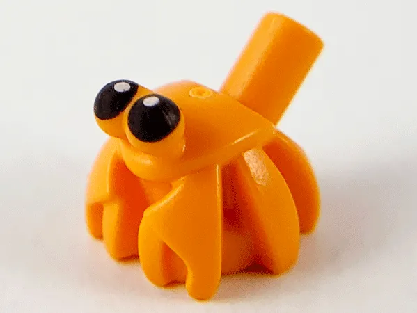 Hermit Crab, Bar on Back with Black Eyes with White Pupils Pattern