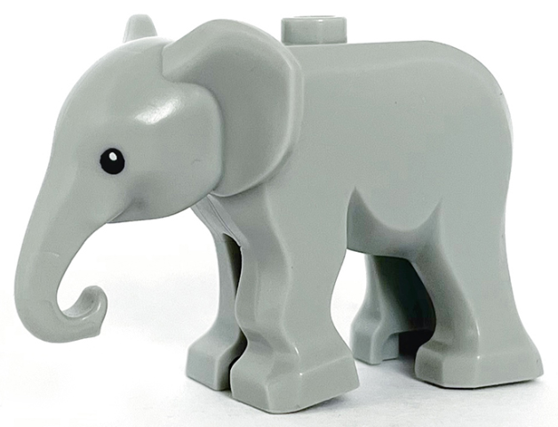 Elephant, Baby with Black Eyes and White Pupils Pattern