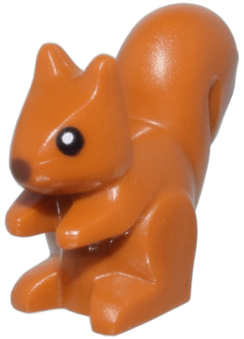 Squirrel with Reddish Brown Nose and Black Eyes with White Pupils Pattern