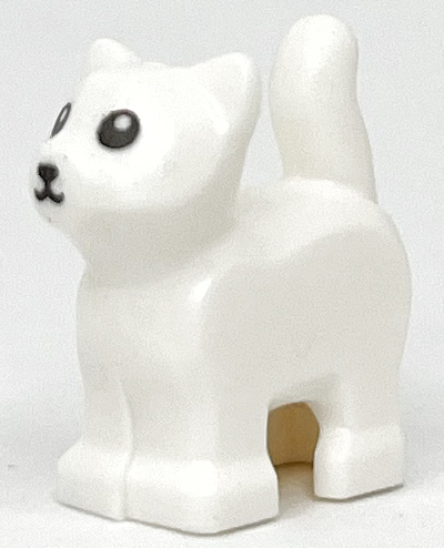 Cat, Baby Kitten, Standing with Black Nose and Eyes with White Pupils Pattern