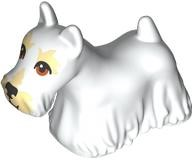 Dog, Terrier Scottish (Scottie) with Reddish Brown Eyes, Black Nose, Tan Eyebrows and Muzzle Pattern