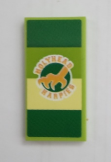 Tile 2 x 4 with 'HOLYHEAD HARPIES' Pattern (Sticker) - Set 75980