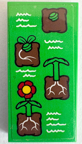 Tile 2 x 4 with Poster with Stages of Plant Growth, Red and Yellow Flower with White Roots and Writing Pattern (Sticker) - Set 60329