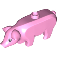 Pig with Black and White Eyes and Eyelashes Pattern (Hamletta)