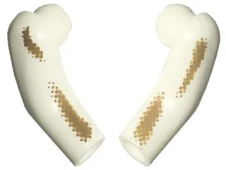 Arm, (Matching Left and Right) Pair Long with Dark Tan Dirt Stains Type 2 Pattern
