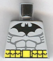 Torso Batman Logo with Muscles and Yellow Belt Pattern