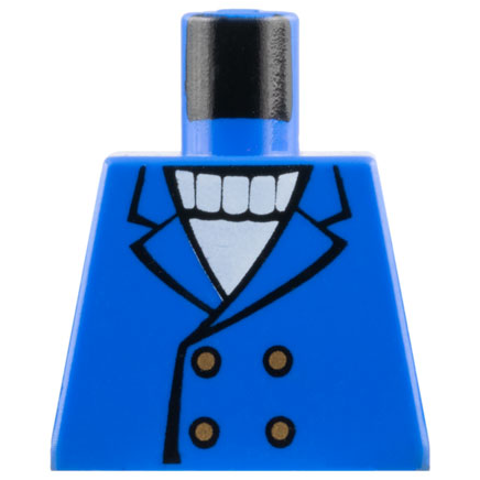 Torso Jacket with Gold Buttons over White Sweater Pattern