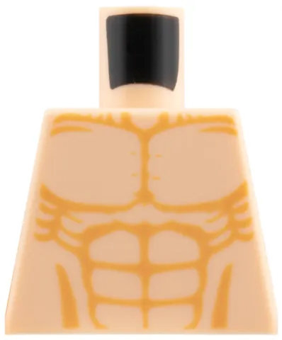 Torso Bare Chest with Muscles Outline Detailed Pattern