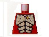 Torso Tan Chest and Abdomen Exoskeleton Segments, Gold Skull Pin, Triangle Logo on Back Pattern