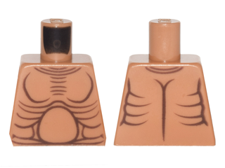 Torso Bare Chest with Muscles Outline and Round Stomach Pattern