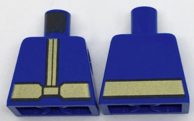 Torso Coat with Gold Center Seam and Wide Gold Belt Pattern