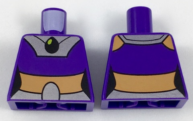 Torso Female Top with Silver Yoke and Belt, Black Pendant, Nougat Midriff Pattern